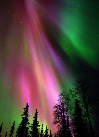 Auroras-Boreales-Canada-AmoViajar-AMO-VIAJAR-9